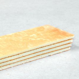 Kapsel plak 55 X 35 X 1,5 cm