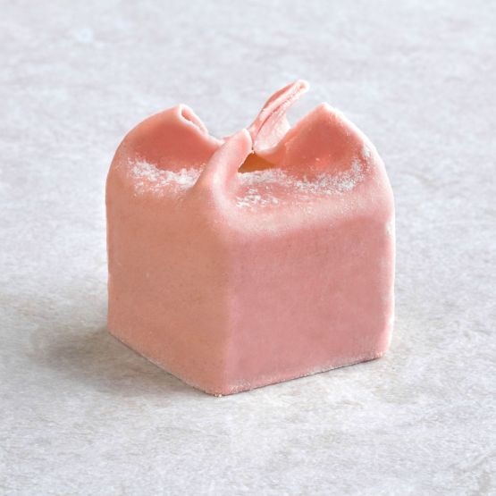 Kasteeltje zonder roset